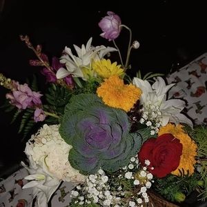 Meet your Posher, Sue